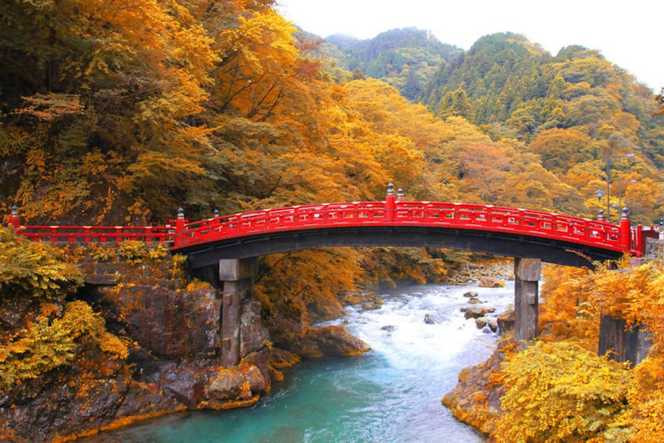 From Tokyo: Private Day Trip to Nikko and Lake Chuzenji - Stop One: Nikko Toshogu and the Tokugawa Ieyasu Connection
