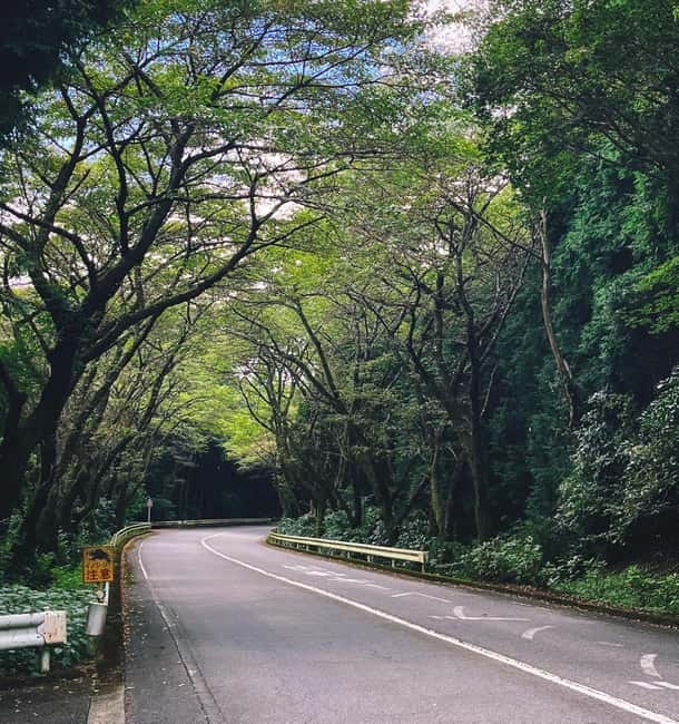 From Tokyo: Private JDM/Sports Car Tour to Mt Fuji & Hakone - Who This Tour Suits Best (and Who Should Skip It)