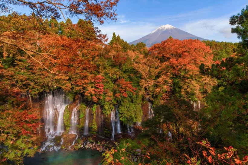 From Tokyo: Private JDM/Sports Car Tour to Mt Fuji & Hakone - Price and Logistics: Is $387 Worth It?