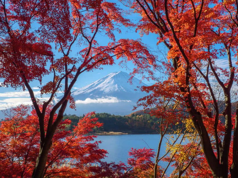 From Tokyo: Private Motorcycle Tour - Fuji, Hakone, Onsen - Cost and value: is $548 per person fair for this much ride time?