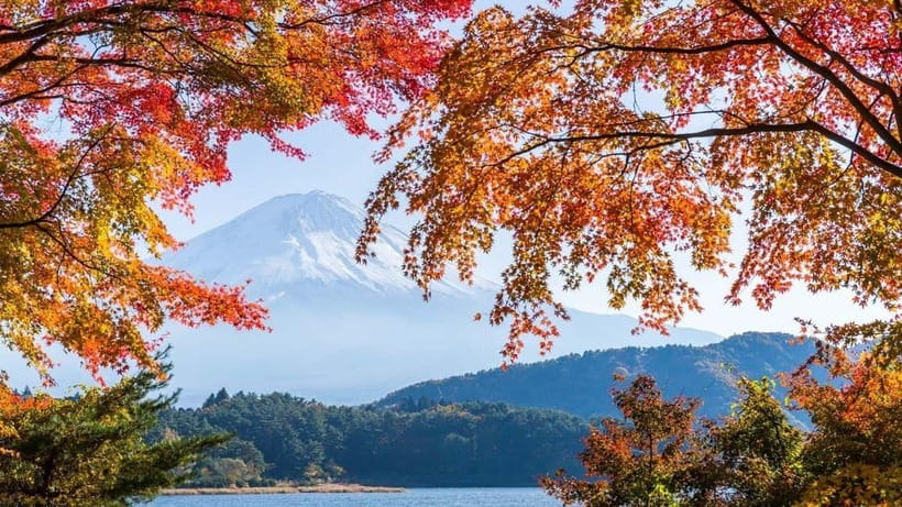 From Tokyo: Private Mt. Fuji and Hakone Tour by Car - Key things I’d plan around