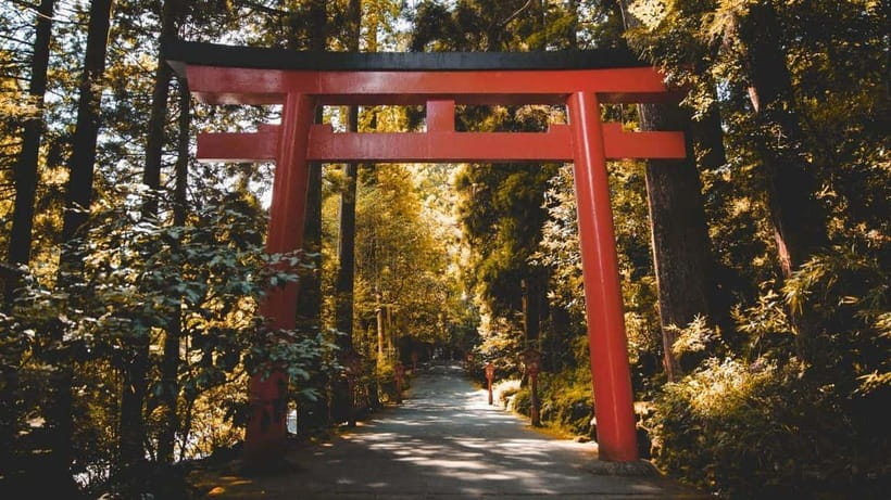 From Tokyo: Private Mt. Fuji and Hakone Tour by Car - Hakone Open-Air Museum: art with real mountain air