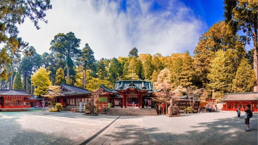 From Tokyo: Private Mt. Fuji and Hakone Tour by Car - Lunch in Hakone and how to keep the pace comfortable