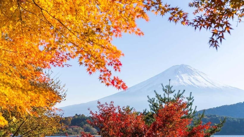 From Tokyo: Private Mt. Fuji and Hakone Tour by Car - Gotemba Premium Outlets: the practical way to end the day