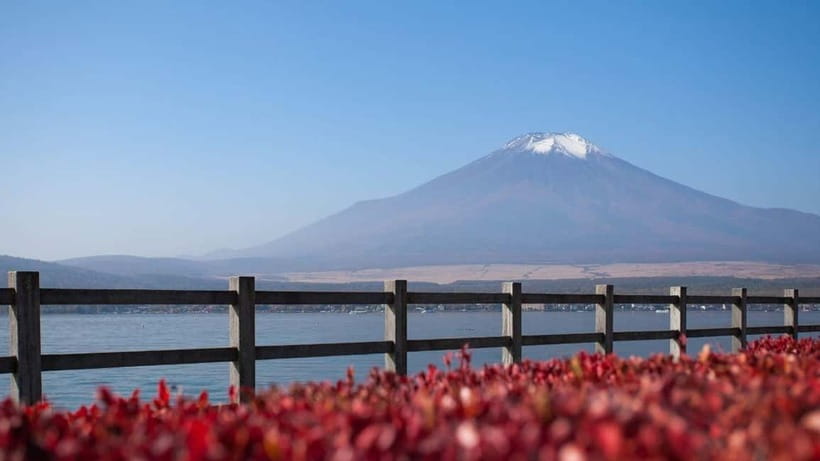 From Tokyo: Private Mt. Fuji and Hakone Tour by Car - Driver quality is the real upgrade (and it shows in small moments)