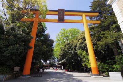 From Tokyo: Round-Trip Fare to Kawagoe City - What This Pass Actually Does (And What It Doesn’t)