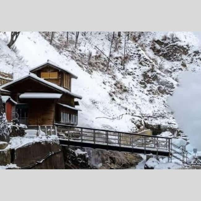 From Tokyo: Snow Monkey Park and Miso Production Day Tour - Key things to know before you go