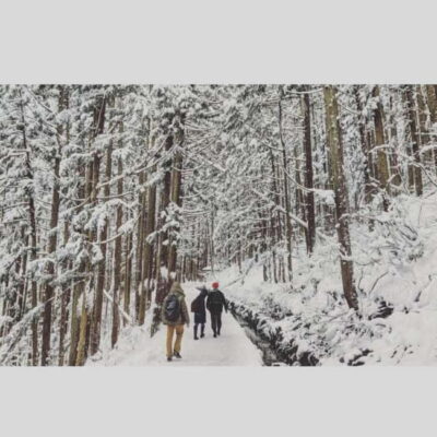 From Tokyo: Snow Monkey Park and Miso Production Day Tour - Jigokudani Monkey Park: hot springs, cold air, and the walk that needs respect