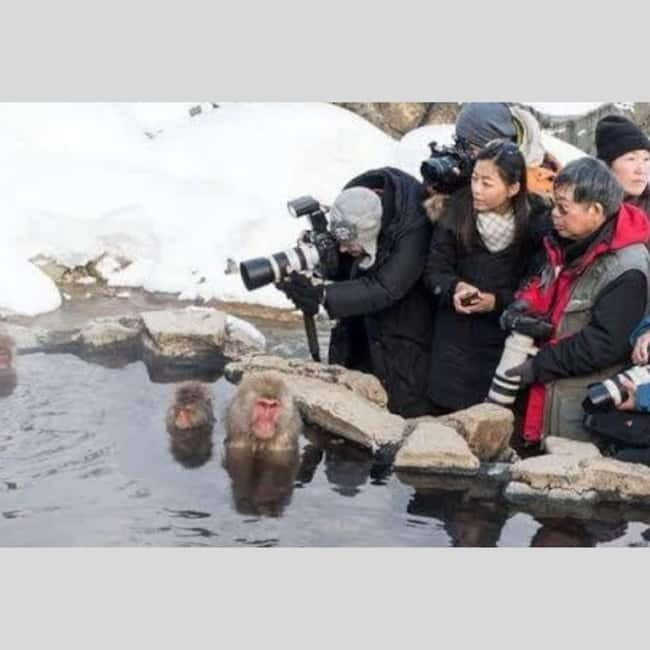 From Tokyo: Snow Monkey Park and Miso Production Day Tour - Matsushiro Castle Ruins: feudal Japan, but with room for photos
