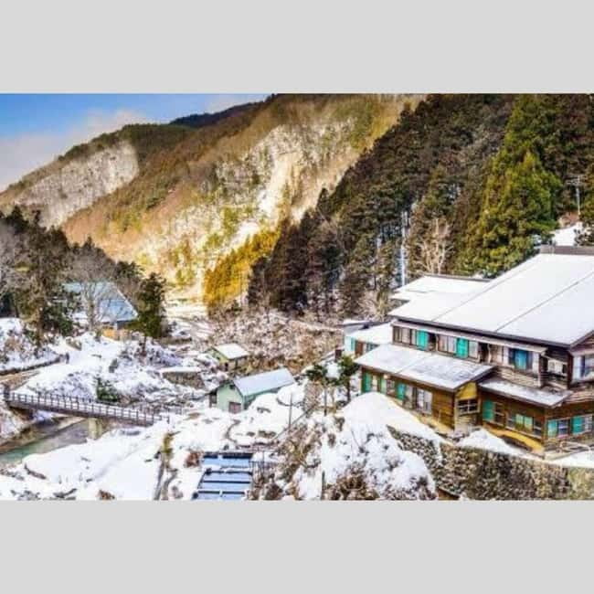 From Tokyo: Snow Monkey Park and Miso Production Day Tour - Shibu Onsen finish: hot spring village energy for your final hour