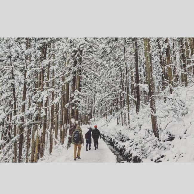 From Tokyo: Snow Monkey Park and Miso Production Day Tour - Jigokudani Monkey Park: hot springs, cold air, and the walk that needs respect