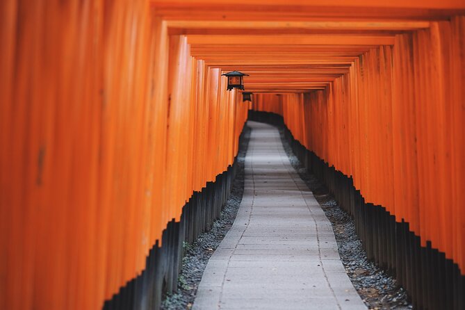 From Tokyo to Kyoto and Nara: A Captivating Full-Day Private Tour - Why This Tokyo Day Trip Works (Even If It Feels Impossible)