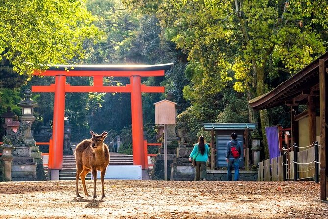 From Tokyo to Kyoto and Nara: A Captivating Full-Day Private Tour - Kinkaku-ji Golden Pavilion: The Icon Stop That Actually Needs Guidance