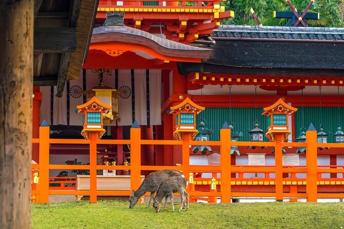 From Tokyo to Kyoto and Nara: A Captivating Full-Day Private Tour - Kyoto Station Lunch at Porta Dining: A Smart, Practical Break