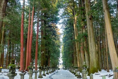 From Tokyo to Mount Fuji! Private Car Tour by Eng Speaking Driver - Entering the 2300-Meter Mood: Mt. Fuji 5th Station
