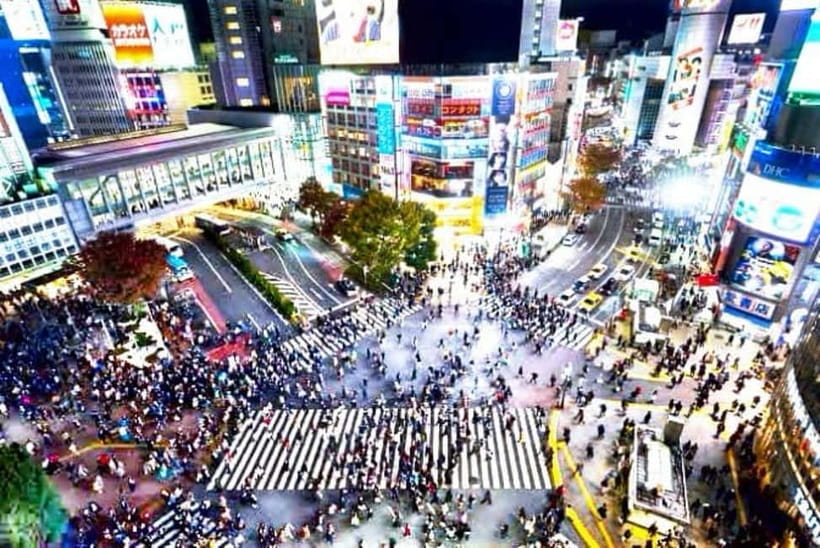 From Tokyo: Tokyo Private Customize Tour With English Driver - Key things that make this tour work