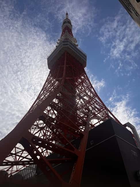 From Tokyo: Tokyo Private Customize Tour With English Driver - Shibuya Crossing when you want modern Tokyo at street level