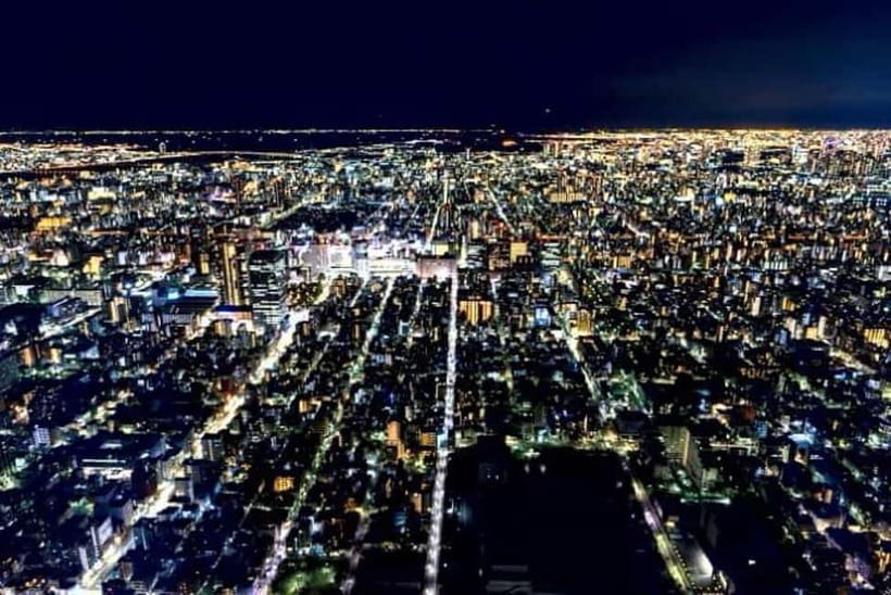 From Tokyo: Tokyo Private Customize Tour With English Driver - Tokyo Skytree views, Mt. Fuji odds, and ticket timing