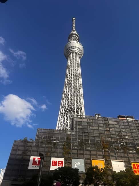 From Tokyo: Tokyo Private Customize Tour With English Driver - Comfort, pacing, and what the car changes for your schedule