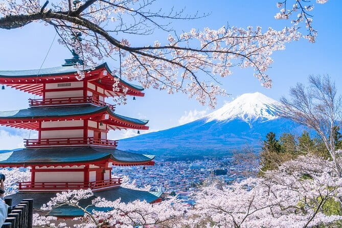 From Tokyo: Top 5 Scenic Spots of Mount Fuji Full-Day Tour - Key highlights worth your attention