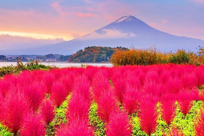 From Tokyo: Top 5 Scenic Spots of Mount Fuji Full-Day Tour - Arakurayama Sengen Park Pagoda: The Fuji View People Actually Chase