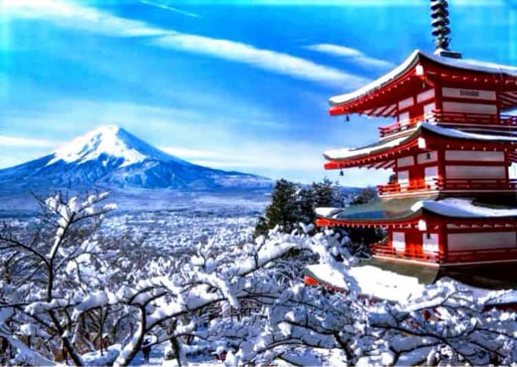 From Tokyo:Mount Fuji Private Customizable Tour With English - Key Points Worth Your Attention