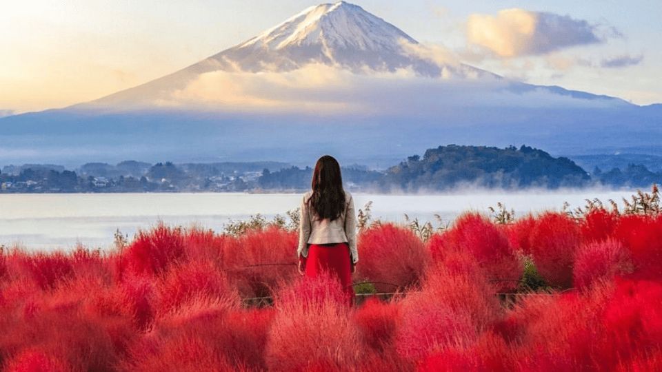 From Tokyo:Mount Fuji Private Customizable Tour With English - Mt. Fuji 5th Station: The Classic Big-View Stop