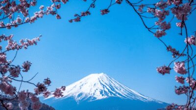 From Tokyo:Mount Fuji Private Customizable Tour With English - 10 Hours From Tokyo: How the Timing Actually Works