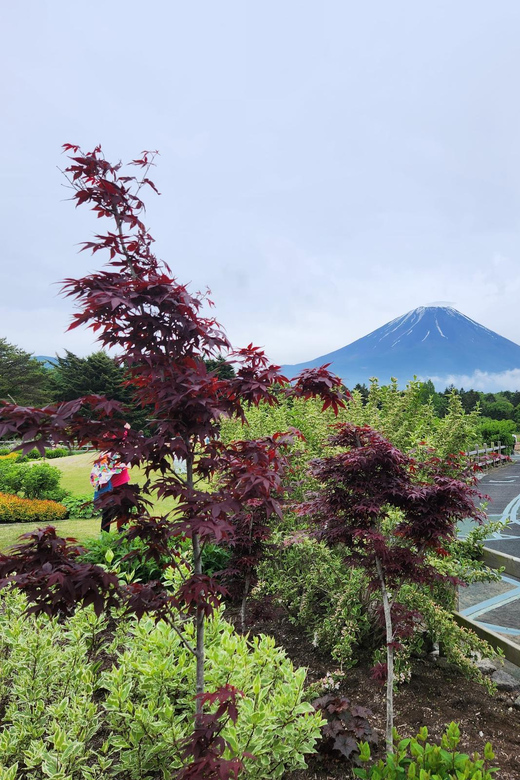 From Tokyo:Mount Fuji Private Customizable Tour With English - Oshino Hakkai and Sengen Shrine Complex: Culture Between Views