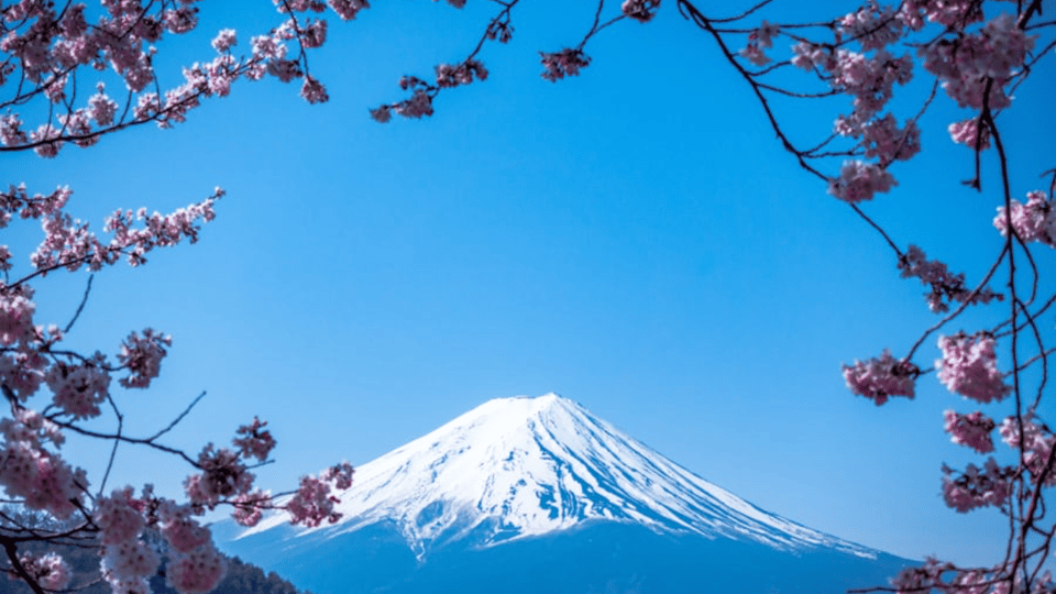 From Tokyo:Mount Fuji Private Customizable Tour With English - 10 Hours From Tokyo: How the Timing Actually Works