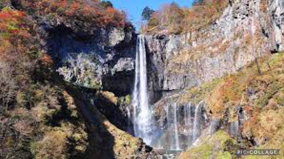 From Tokyo:Nikko Full Day Tour w/Hotel Pickup by Private Car - Tokyo to Nikko: A One-Day Change of Scene That’s Actually Practical