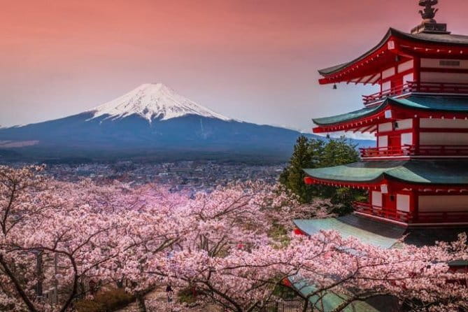 Fuji and Lake Kawaguchi Tour - Key highlights that make this tour work