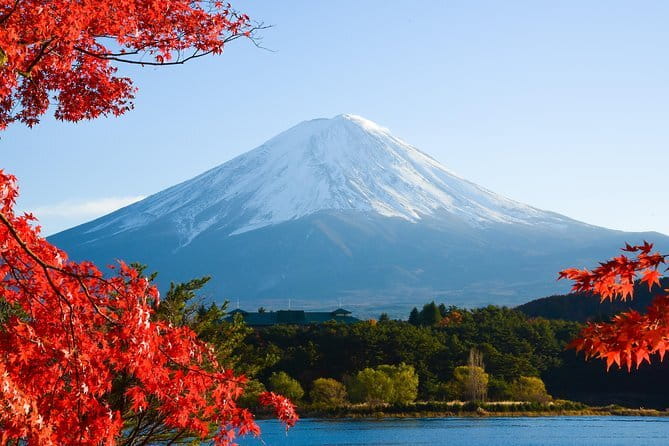 Fuji and Lake Kawaguchi Tour - Why a private Fuji day feels different from bus tours