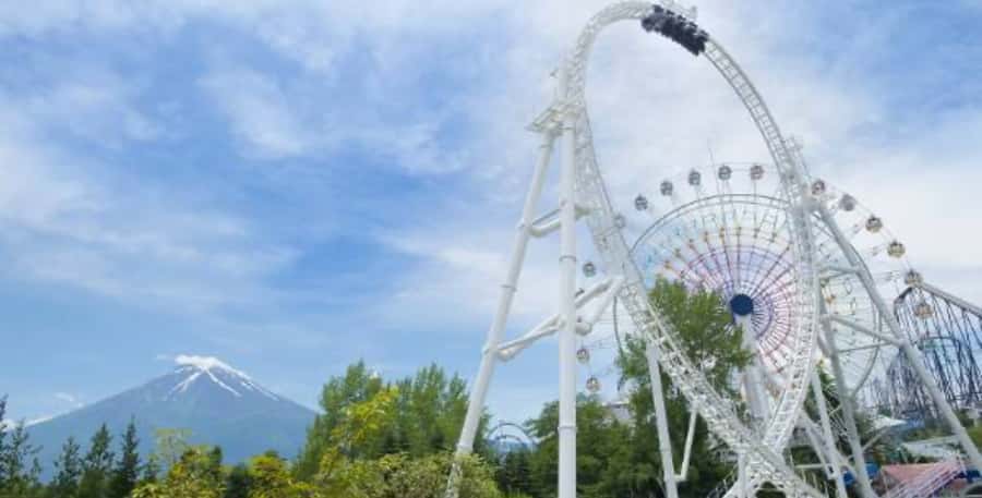 Fuji-Q Highland Amusement Park: 1 Day private tour by Car - Things to watch before you book