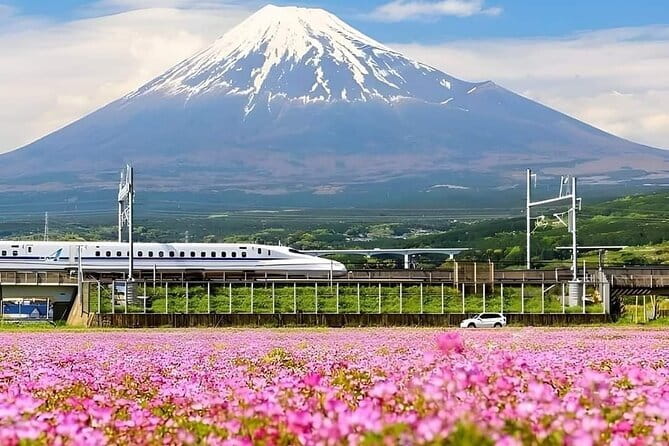 Fuji-Q Highland Amusement Park Private Tour with English Driver - Family-friendly side of Fuji-Q: don’t let thrill rides take over