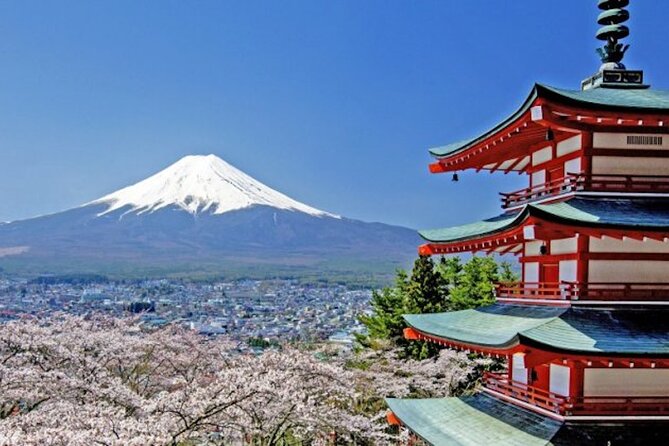 Fuji Speedway Self Drive & Mt. Fuji Private Tour pickup & dropoff - Key highlights you should actually care about