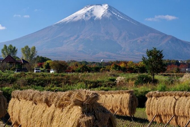 Fuji Speedway Self Drive & Mt. Fuji Private Tour pickup & dropoff - Price and value: does ¥1,200 and ¥1,800 change the math?