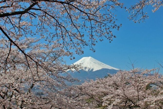 Fuji Speedway Self Drive & Mt. Fuji Private Tour pickup & dropoff - Who this tour fits best (and who should skip it)