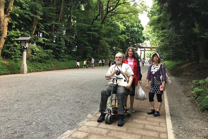 Full-Day Accessible Tour of Tokyo for Wheelchair Users - Cat Street in Shibuya: street fashion vibes without the formality