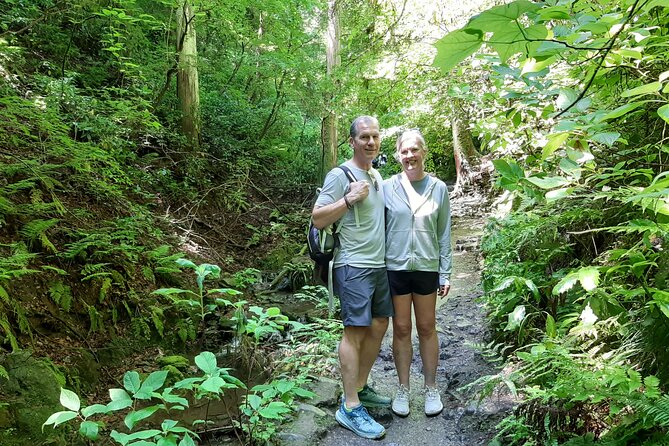 Full Day Hiking Tour at Mt.Takao including Hot Spring - Why Mt. Takao Works for a 5½-Hour Tokyo Break