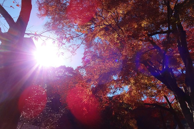 Full Day Hiking Tour at Mt.Takao including Hot Spring - Picking Your Hiking Level Without Feeling Overbooked