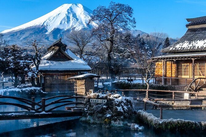 Full Day Private Tour in Mt. Fuji and Hakone - Key things to know before you go