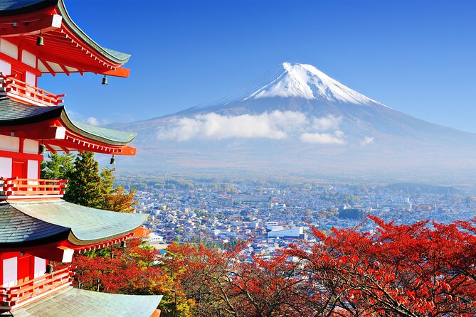 Full Day Private Tour in Mt. Fuji and Hakone - Lake Ashi (Ashinoko) and the Hakone view game