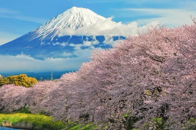Full Day Private Tour of Mt Fuji - The Yoshida trail to 7th Station: an easy hike with mountain views