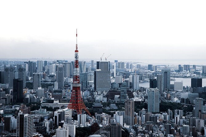 Full-Day Private Tour to Discover The Best of Tokyo - Akihabara, Ginza, and Ameyoko: Tokyo’s shopping personality test
