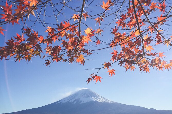 Full Day Private Tour to Mt Fuji by Luxury Vehicle - Luxury van pickup from Tokyo: the real value