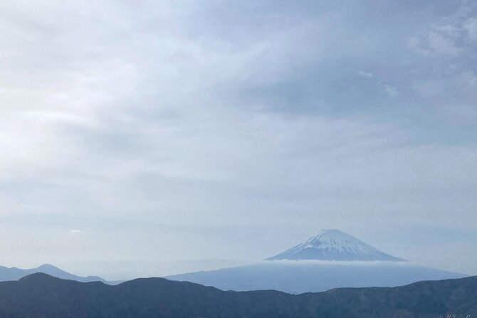 Full Day Private Tour to Mt Fuji by Luxury Vehicle - Houtou Fudou: noodles, miso broth, and snack-friendly stops