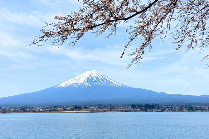 Full Day Private Tour to Mt Fuji by Luxury Vehicle - Kitaguchi Hongu Fuji Sengen Jinja: cedar forest and the climb’s starting spirit