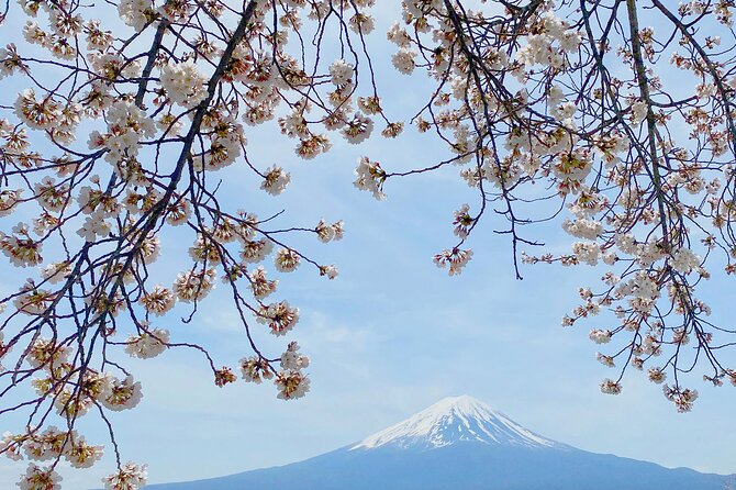 Full Day Private Tour to Mt Fuji by Luxury Vehicle - Price and logistics: is it worth $637.30 for up to 6?