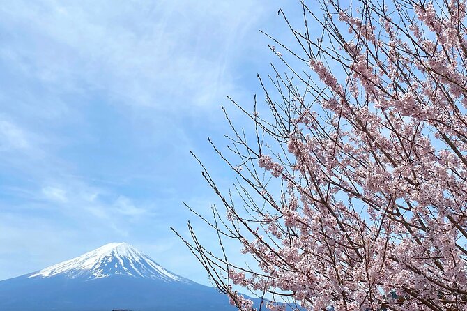 Full Day Private Tour to Mt Fuji by Luxury Vehicle - Who this Mt Fuji private tour suits best